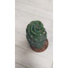 Cereus Forbesii Spiralis -Dönerek Büyüyen Nadir Tür-14-15 cm Uzunluk 11 cm  cm Plastik Saksıda