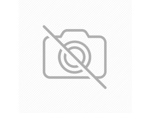 Sukulent Bakımı: Evde Sukulent Yetiştirmek İçin Püf Noktaları